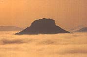 Der Lilienstein im Nationalpark Sächsische Schweiz